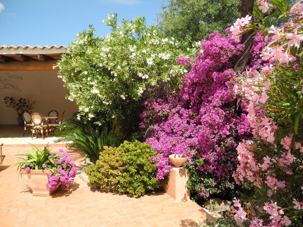 Hotel San Pantaleo Exteriér fotografie